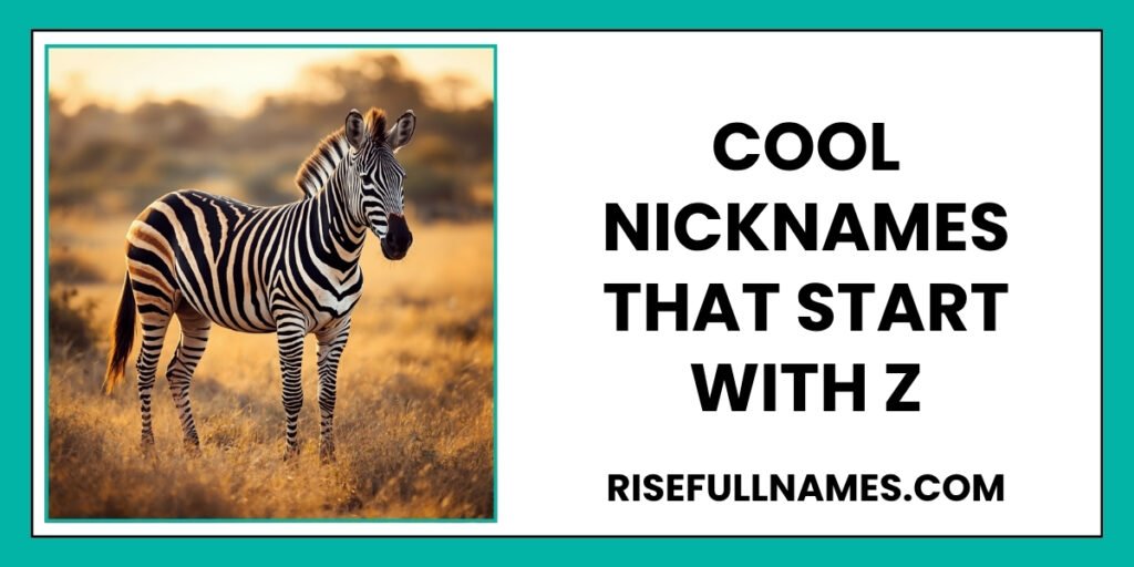 Cool Nicknames That Start With Z